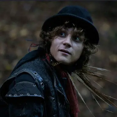 Profile image of Robin De Noir