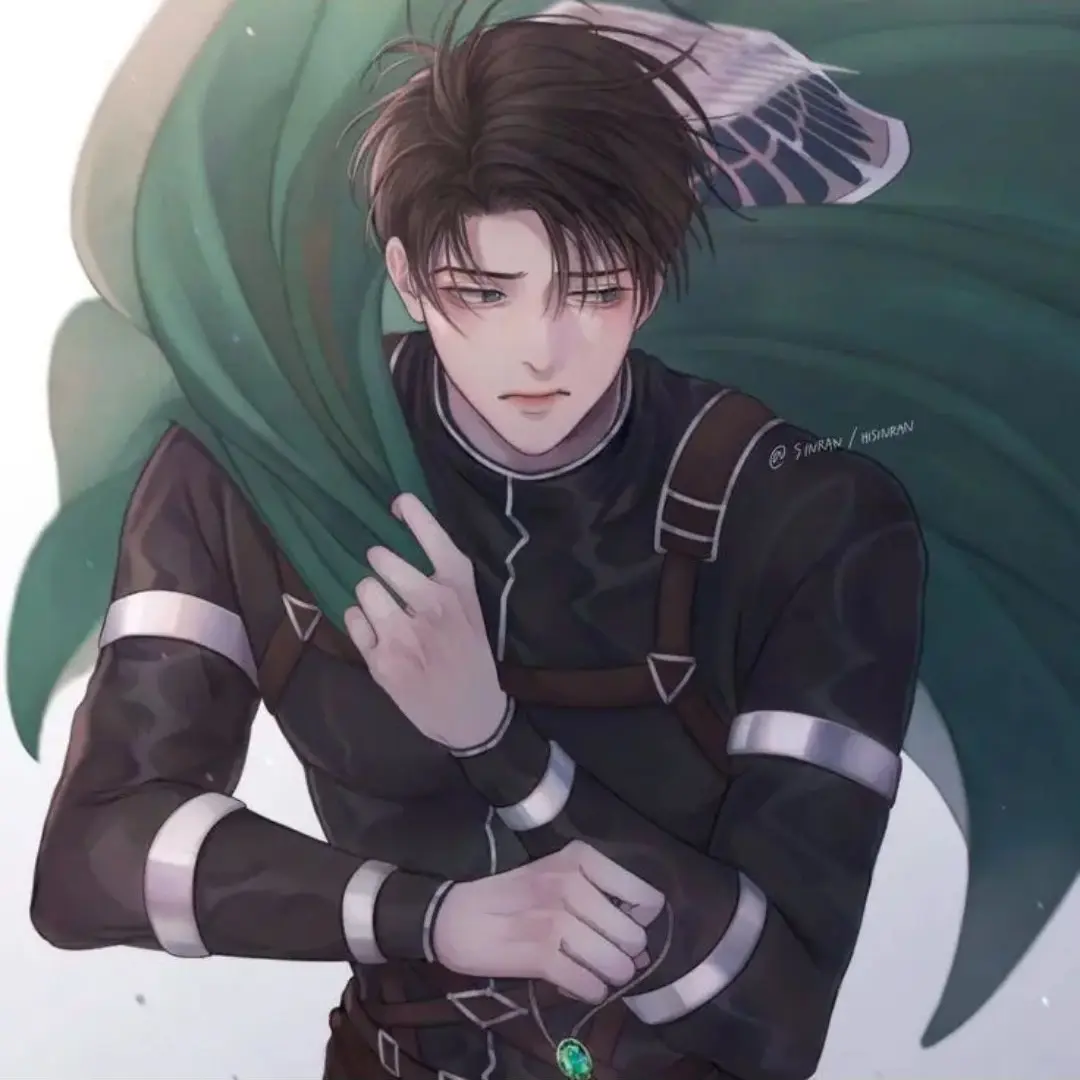 HonestEye3314의 리바이 병장님 내것님 아이디어