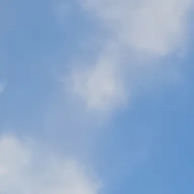 Profile image of 민정