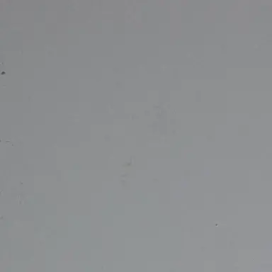 Profile image of 박이찬