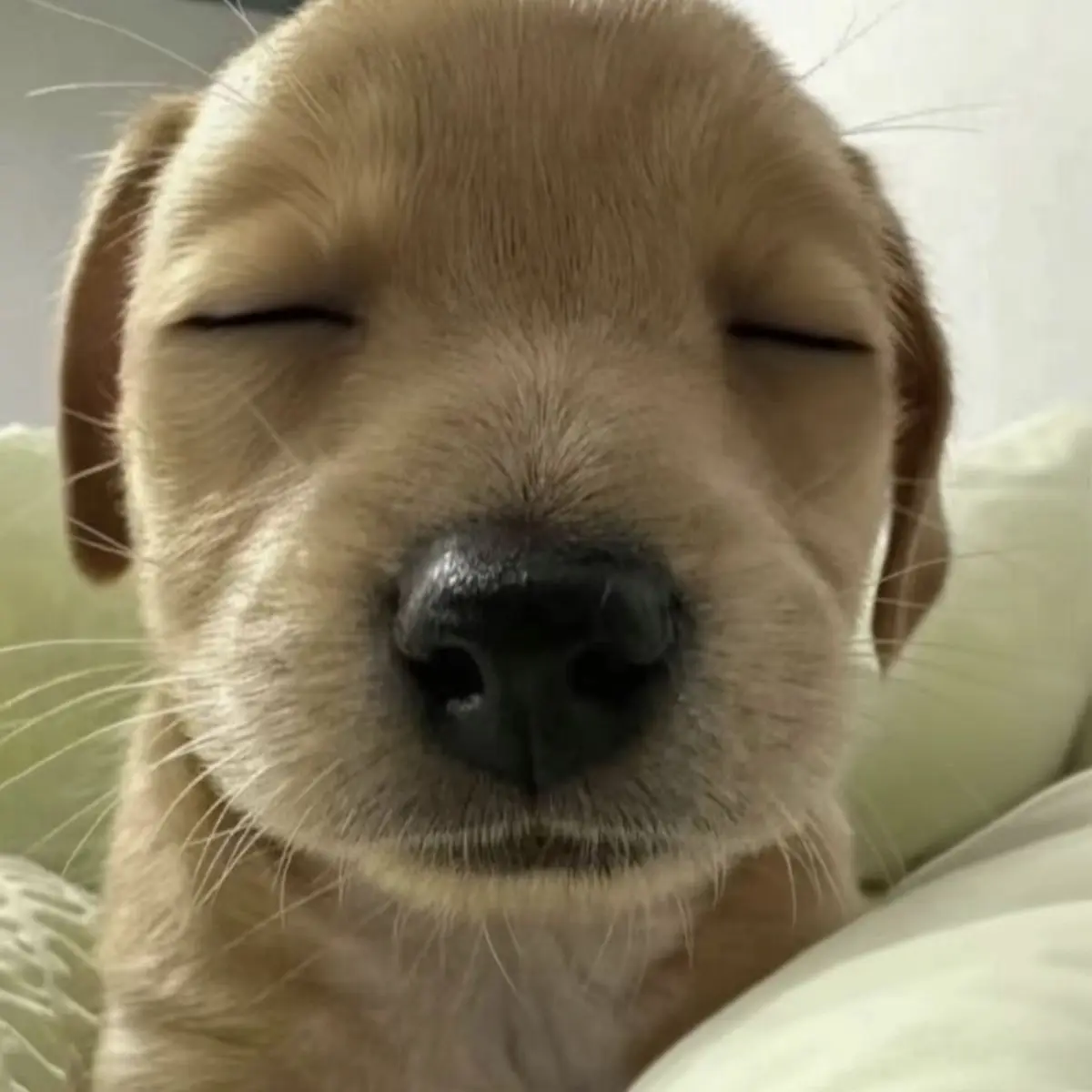 Salmon_fish의 웹툰 만들때 참고하려고 쓰는 캐임