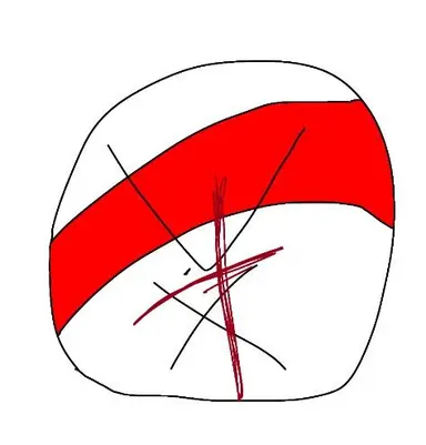 Profile image of フサキン