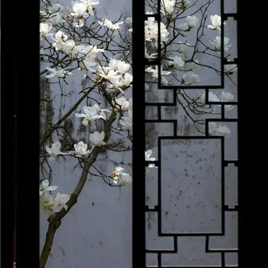 Profile image of 三上菊太郎