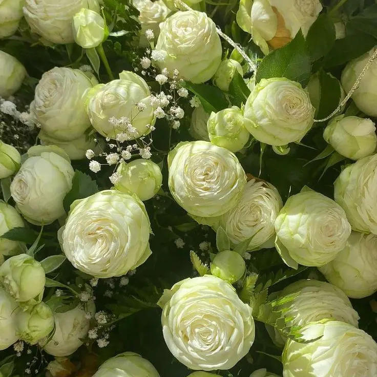 Dino_0911의 갑자기 상태창이 보인다..?!