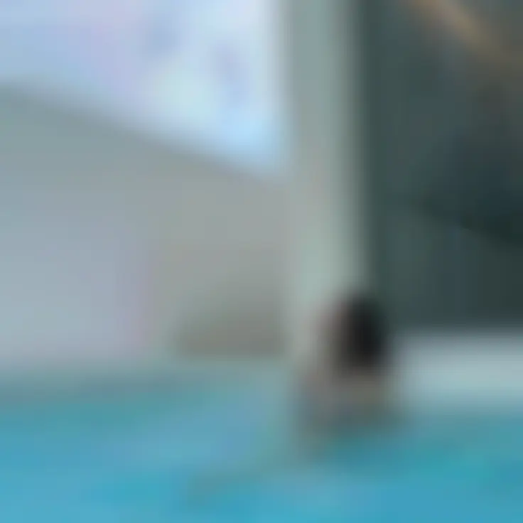 S.H.Kang의 이채영