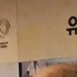 “난 연하는 싫다니까” 대표 이미지