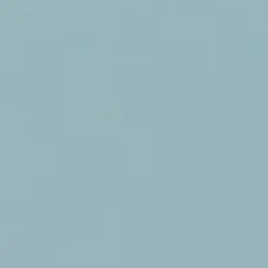 Profile image of 死柄木弔