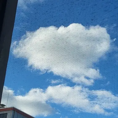 Profile image of 아름