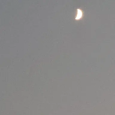 Profile image of 0유찬