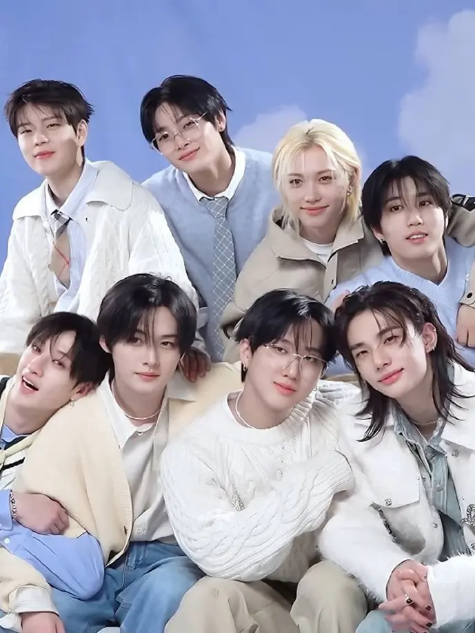 DenseFort4327의 9th Member of SKZ