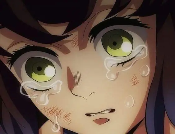Profile image of 하시비라 이노스케