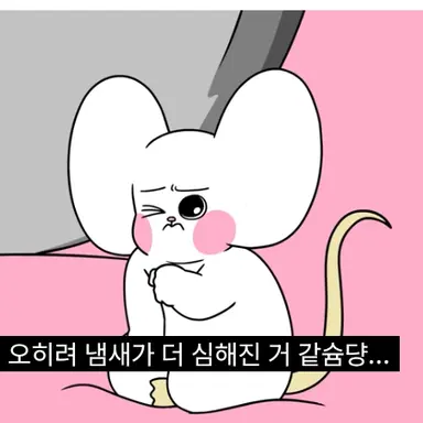 Profile image of 슘댱이