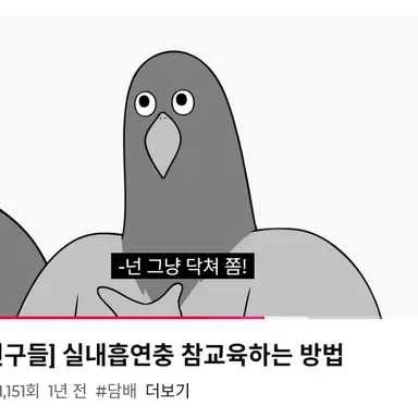 Profile image of 새대갈
