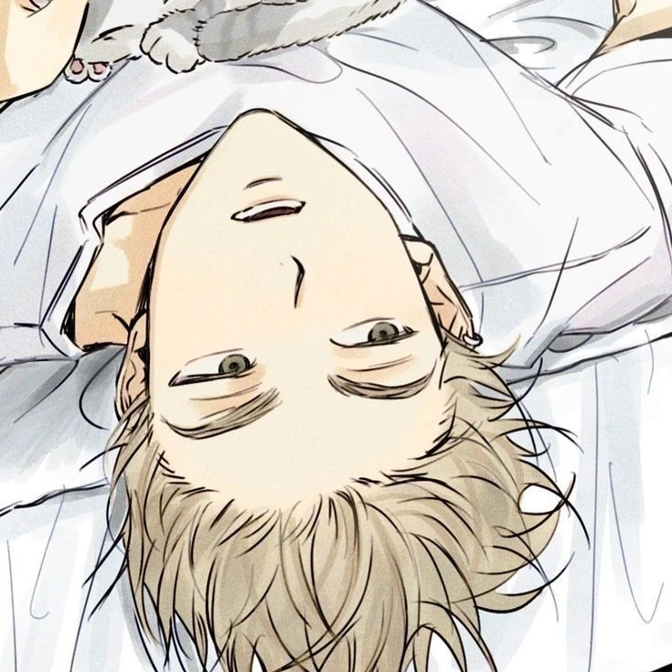 이 결