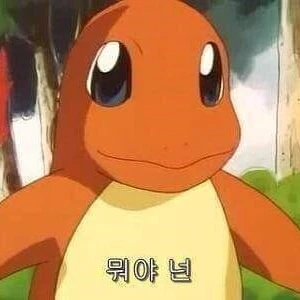파이리