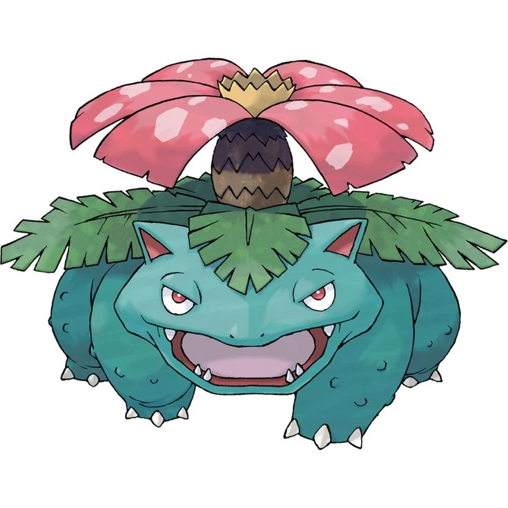 이상해꽃