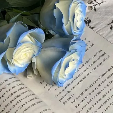 Profile image of 이채영