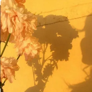 Profile image of 각별