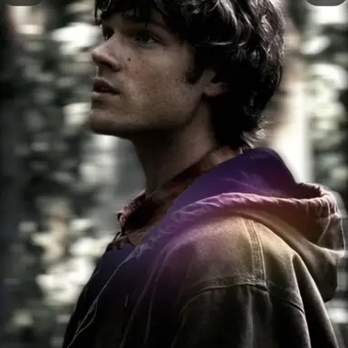 Profile image of Sam Winchester