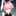 うさぴょん