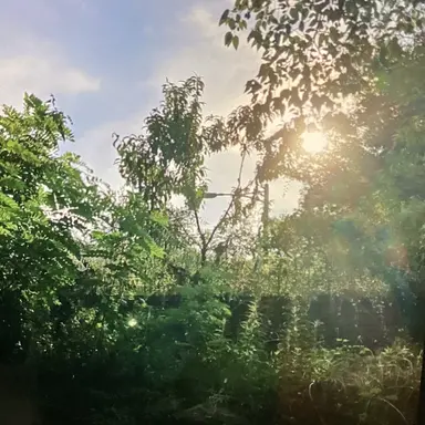 Profile image of 뜰팁학교