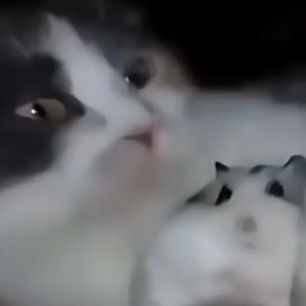 FussyPipe8685의 여우년 참교육