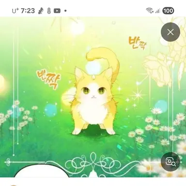 Profile image of 냥이