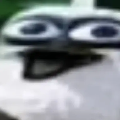 Profile image of 돼지새끼