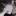 윤시우
