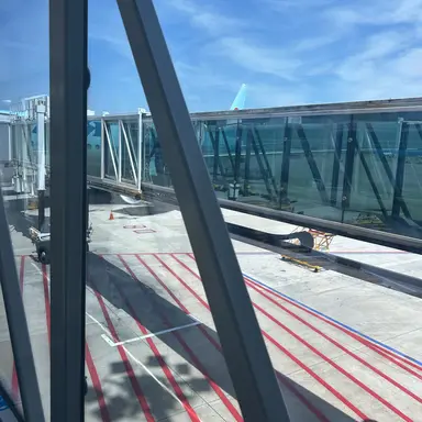 Profile image of 지우