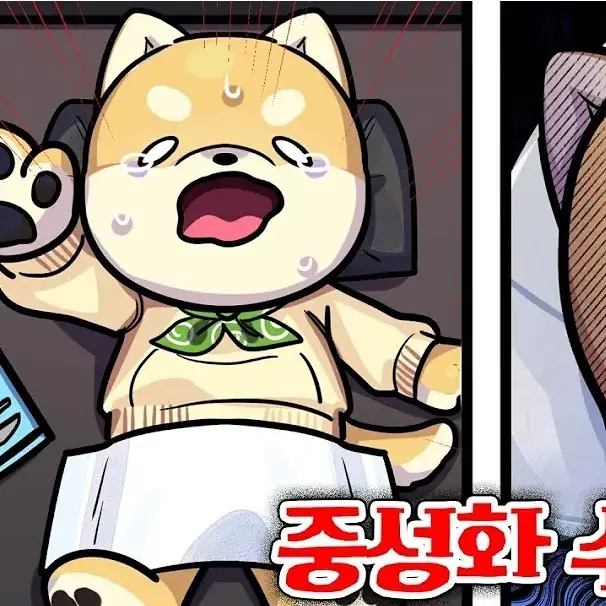 SmugMolly3062의 댕댕이