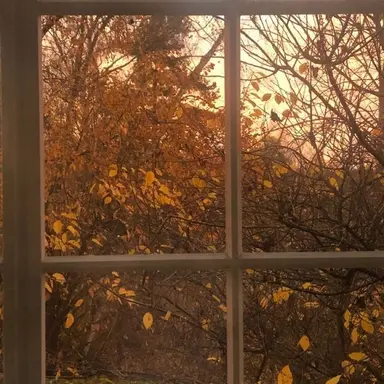 Profile image of 박덕개