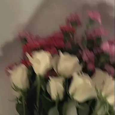 Profile image of 서라더