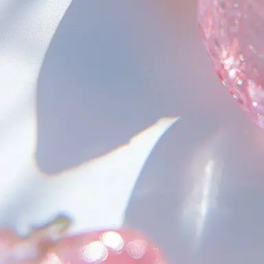 Profile image of あいす