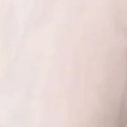 김동현