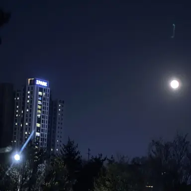 Profile image of 김도영