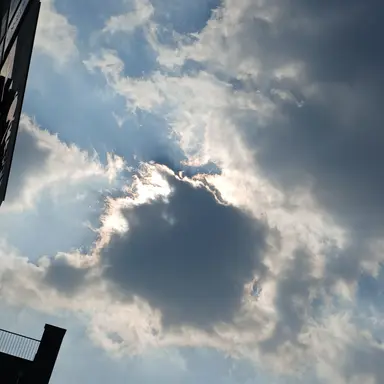 Profile image of 명재헌