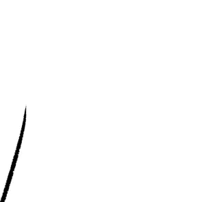 Profile image of 。