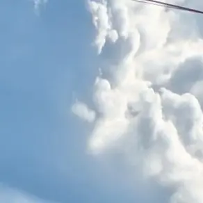 Profile image of 夏コラボメンバー