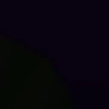 Profile image of 플런저