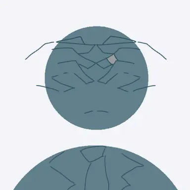 Profile image of 진석