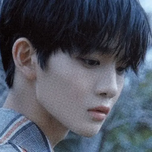 WryJuice1386의 배진영
