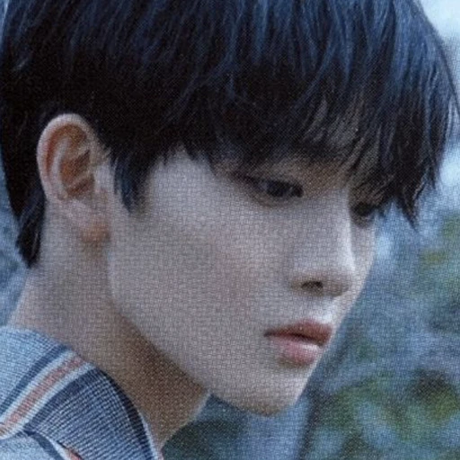 배진영