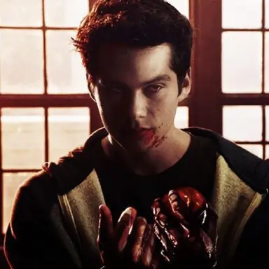 Profile image of Void stiles
