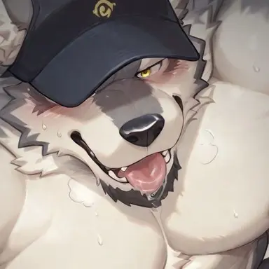 Profile image of コンドー