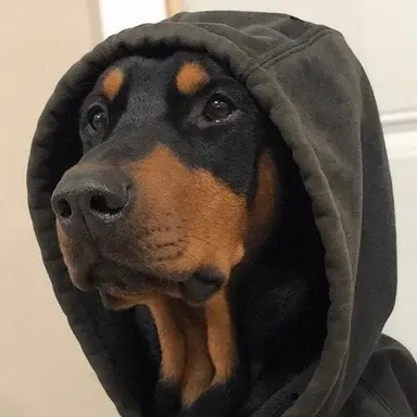 Profile image of ベル