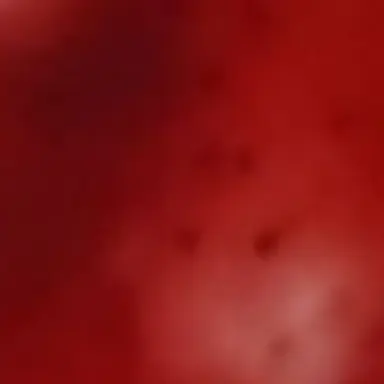 Profile image of 멸뭉교 신도들