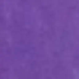 Profile image of 루시드