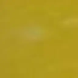 Profile image of 로베