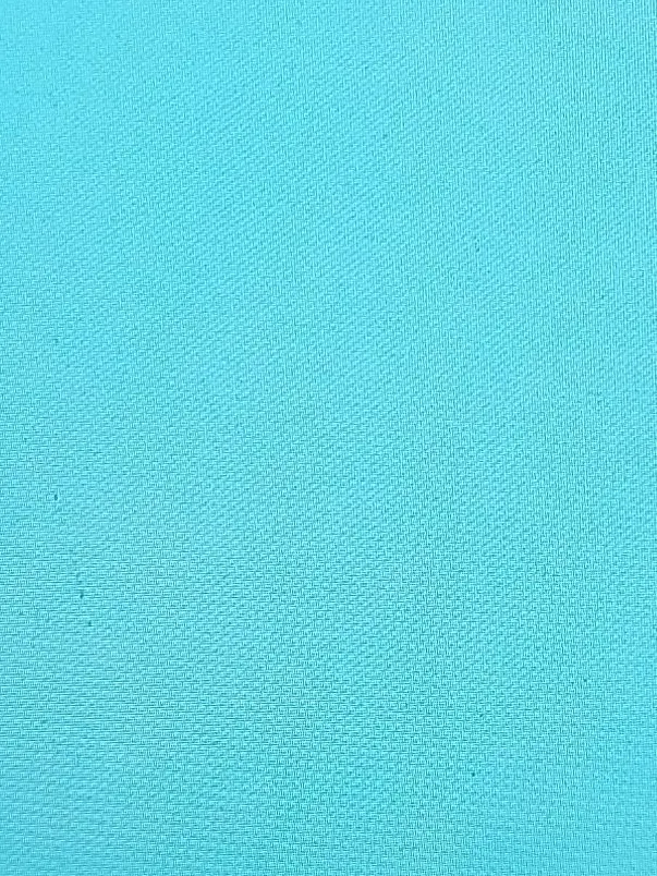 TangyOkapi1295의 댕댕컴퍼니🔥체육대회+여우